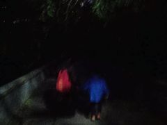 -阳台山自然风景区