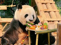 -灵玲国际马戏城