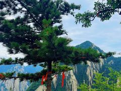 -华山风景名胜区