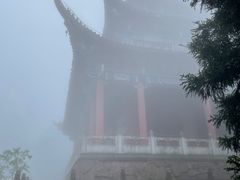 -武陵山森林公园