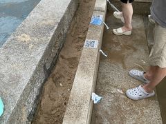 -马銮湾景区