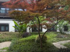 -杭州西湖柳莺里酒店·闻莺厅