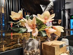 -将太无二·蓝鳍放题·北美寿司(领展购物广场中关村店)