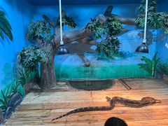 -石家庄市动物园