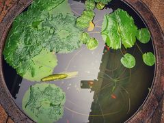 门面-聚春园驿馆(三坊七巷店)