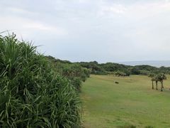 -鹅銮鼻灯塔
