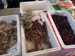 -胶东海鲜大排档(北太平庄店)
