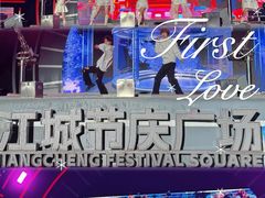 -海合安武汉极地海洋公园
