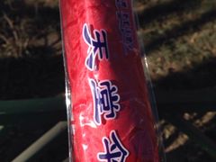 -北京网络广播电视台