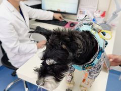 -全心全意动物诊疗中心医院(北苑店)