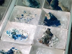 -南京维景国际大酒店(南京博物院店)