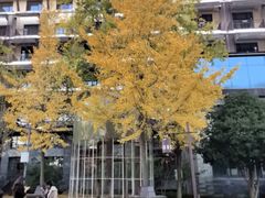 -三江森林温泉度假区