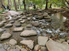 -上海共青森林公园