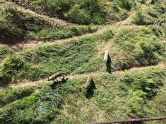 -鄂尔多斯野生动物园