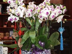 -湘寶缘(育英中学店)