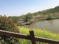 -上海长兴岛郊野公园