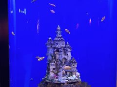 -海合安武汉极地海洋公园