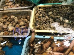 -鑫悦楼煎蟹·16年海鲜大排档