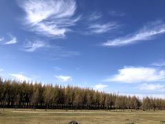 -塞罕坝国家级自然保护区