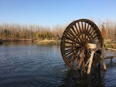 -合肥滨湖国家森林公园