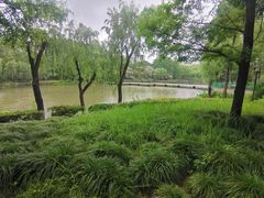 -黄兴公园