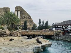 -珠海长隆海洋王国