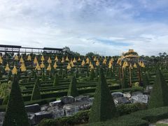 -东芭乐园