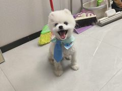 -安安宠医宠物医院·异宠·犬猫内科(岳阳分院)