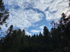 -武陵山森林公园