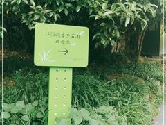 -西湖风景区-江洋畈生态公园