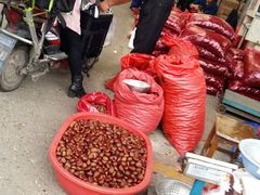 -江杨农产品批发市场