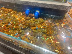 -龙宴海鲜城(经中路店)