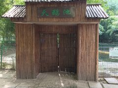 -镇江市南山风景名胜区竹林景区