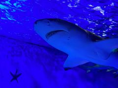 -太平洋海底世界