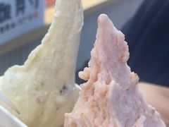 -野人先生现做冰淇淋(西安赛格店)