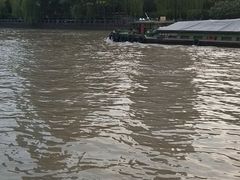 -运河游船(武林门码头)