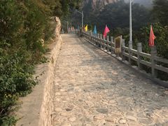 -大岭沟猕猴桃谷风景区