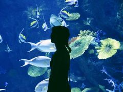 -暹罗海洋世界