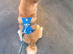 -麦当劳(凯德MALL太阳宫店)