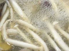 -花苑美食横琴生蚝火锅(拱北粤华路店)