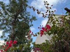 -白沙门生态公园