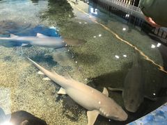 -鸿通城购物中心