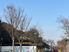 -苏州上方山国家森林公园