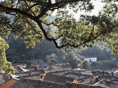 -杨家堂村