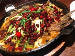 老板恋上鱼-老板恋上鱼(高新万达店)