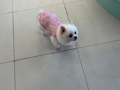 -怪兽屋·羊驼·猫咖·狗咖(俊华广场店)