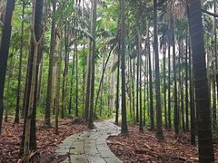 -金山植物公园