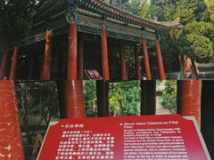 -西安碑林博物馆