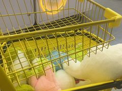-爱玩嘉年华(龙湖杭州金沙天街店)