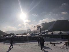 -亚布力新体委滑雪场
